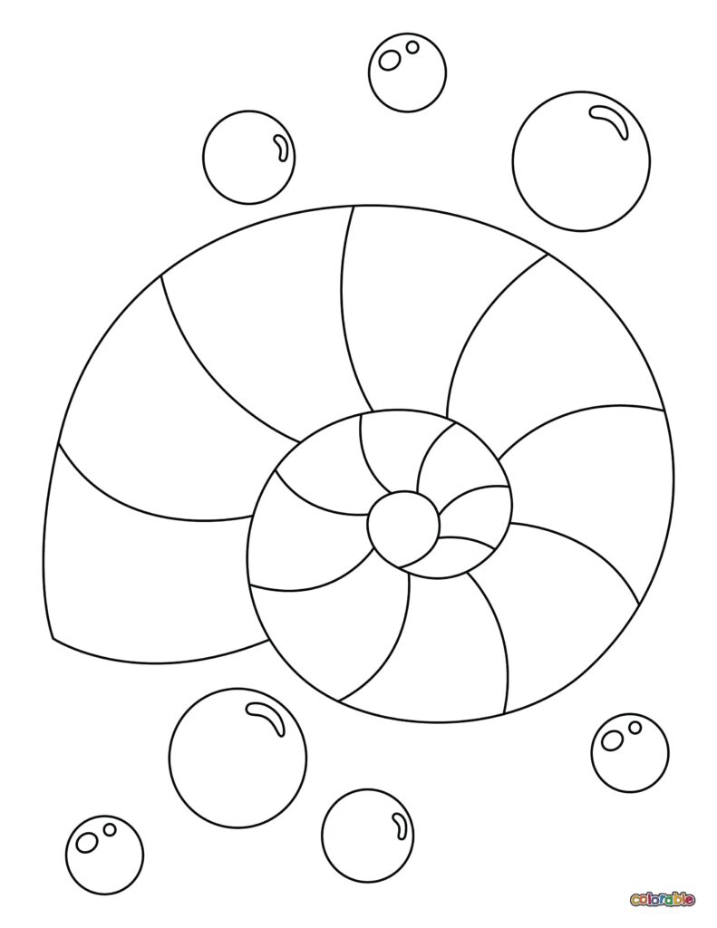 Printable-Seashell-Coloring-Page-22